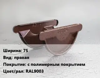 Заглушка желоба 75 правая с полимерным покрытием RAL9003